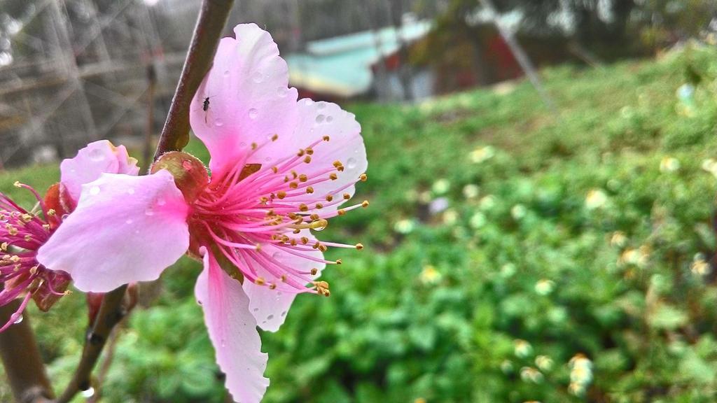 富莉庭缘民宿 埔里 外观 照片